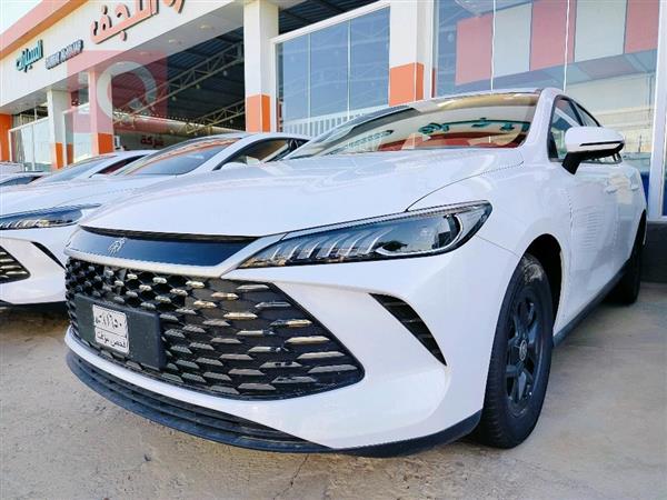 بي واي دي Qin Plus 2025 للبيع في العراق - النجف